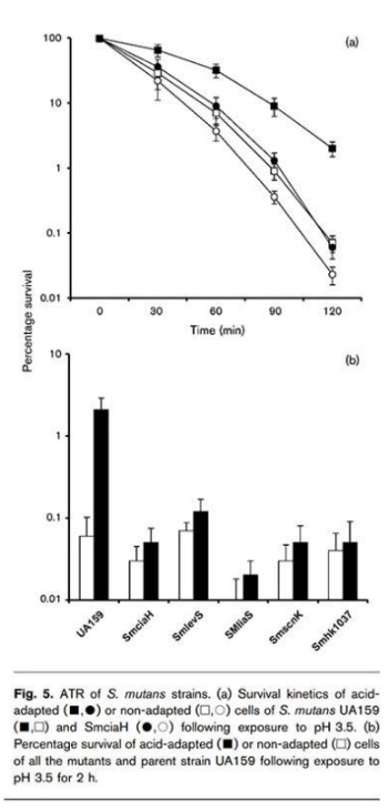 figure-5.jpg